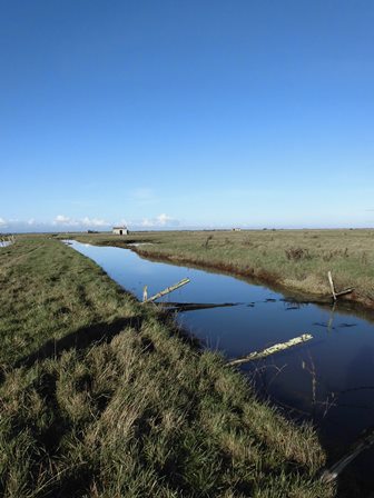 Prairies - Marais de la Seudre