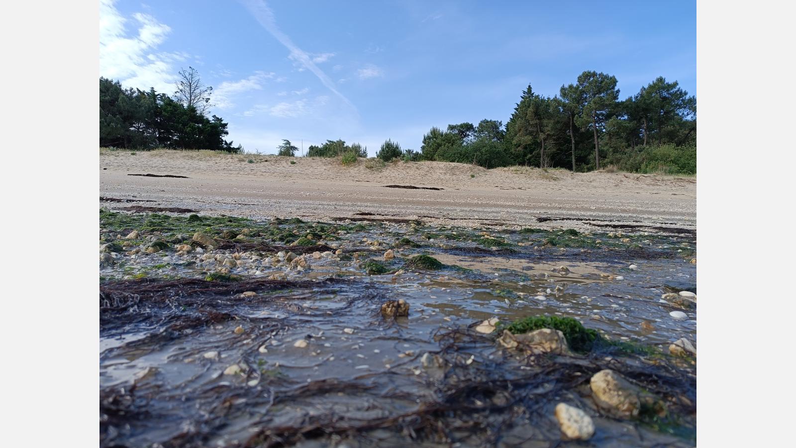 Plage du Mus de Loup