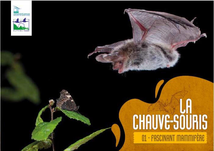 Page de couverture Flyer CS_1