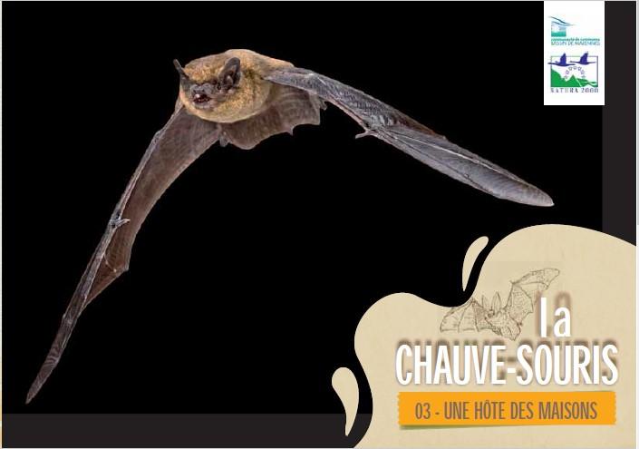 Page de couverture Flyer CS_3