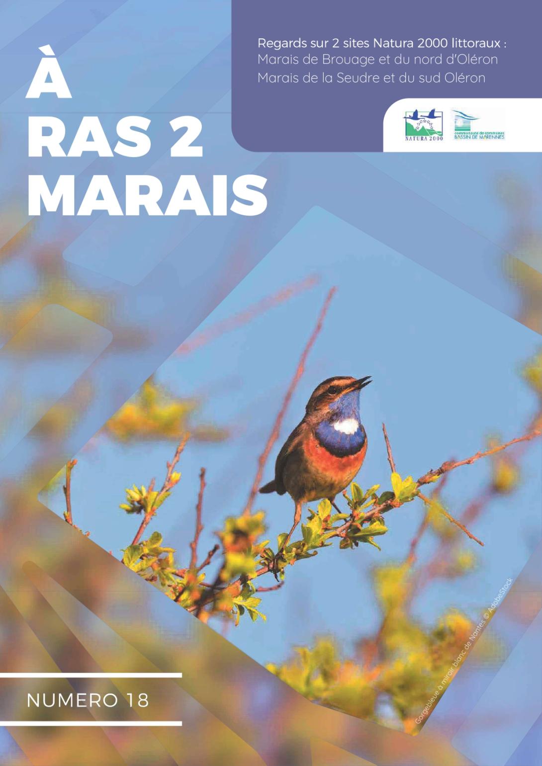 Page de couverture A ras de marais n°18