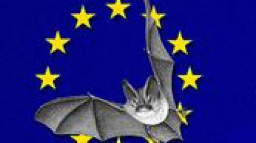 nuit_chauve_souris_2014.jpg