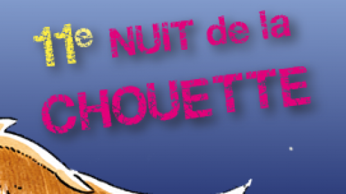 nuit_chouette_2015.png